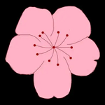 WWW,av922·COM网站APPAPP应用